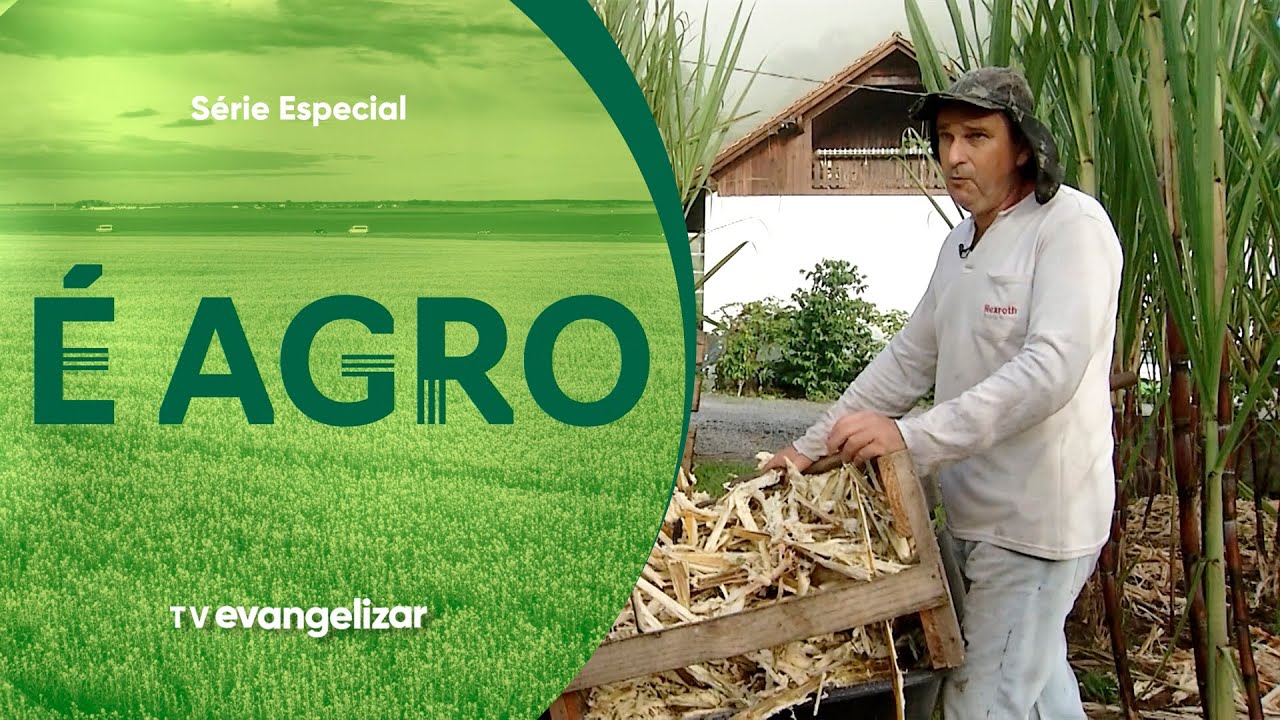 Série É Agro